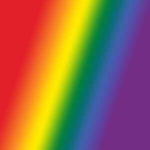 wir sind bunt proxess
