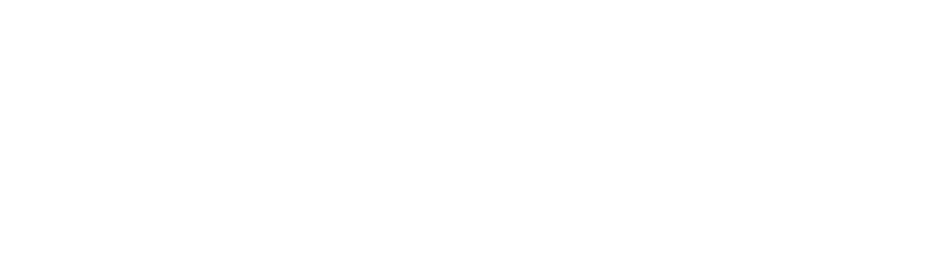 proxess-invoice_logo_white